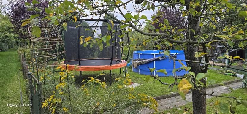 Prodej chaty, Praha, Na Balkáně, 16 m2