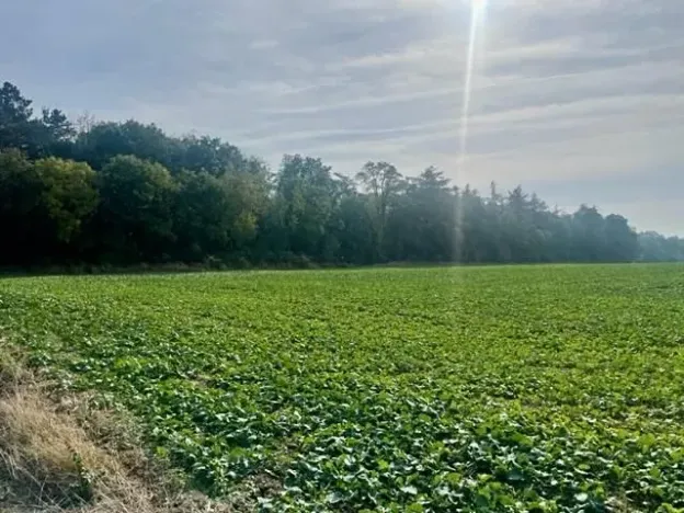 Prodej pole, Praha - Liboc, Na Padesátníku I, 24066 m2