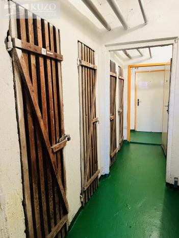 Prodej bytu 3+1, Ostrava, Mariánskohorská, 69 m2