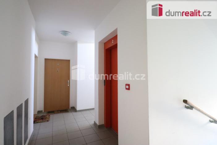 Pronájem bytu 1+kk, Karlovy Vary - Stará Role, Nejdlova, 38 m2