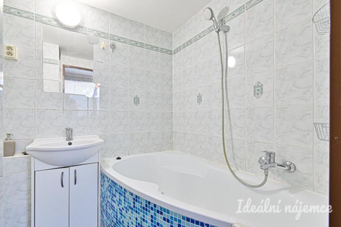 Pronájem bytu 1+1, Židlochovice, sídl. Družba, 30 m2