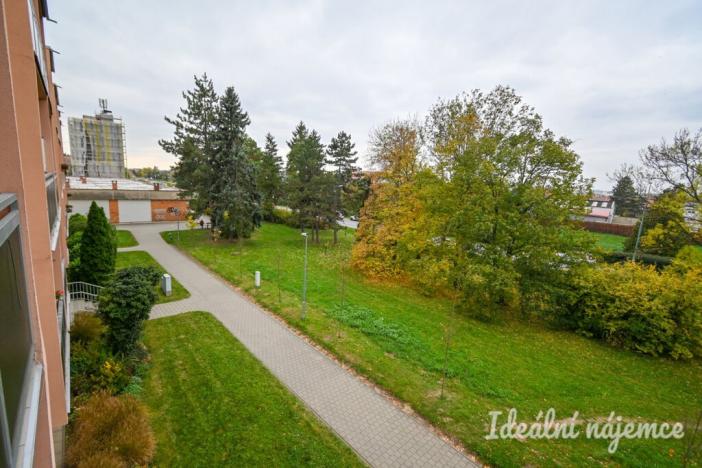 Pronájem bytu 1+1, Židlochovice, sídl. Družba, 30 m2