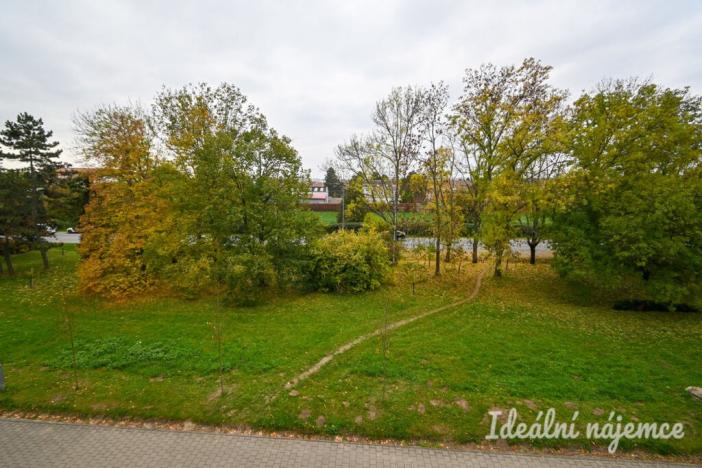 Pronájem bytu 1+1, Židlochovice, sídl. Družba, 30 m2