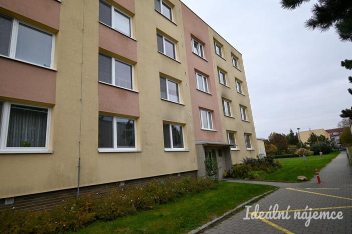 Pronájem bytu 1+1, Židlochovice, sídl. Družba, 30 m2
