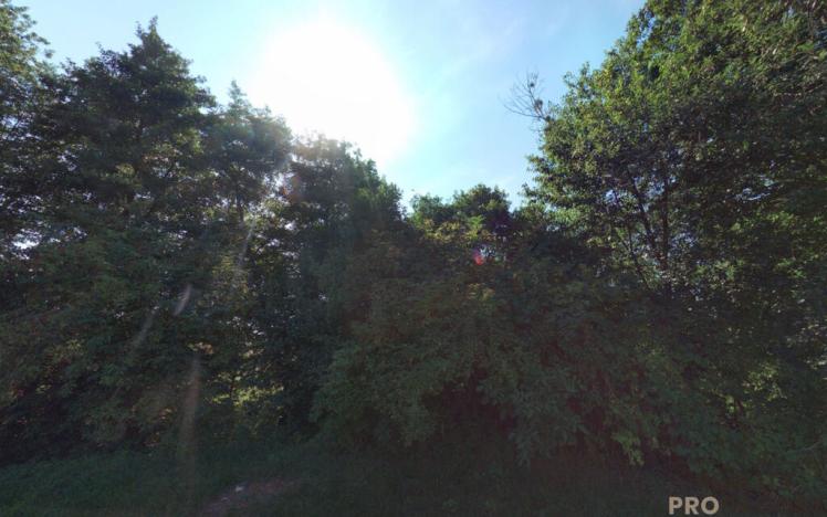 Prodej louky, Traplice, 4459 m2