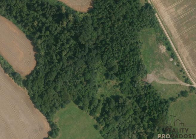 Prodej louky, Traplice, 4459 m2