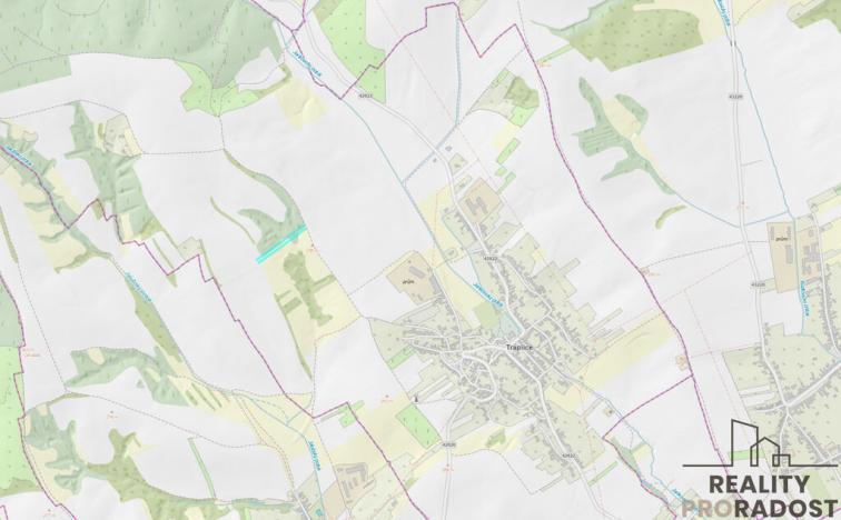 Prodej louky, Traplice, 4459 m2