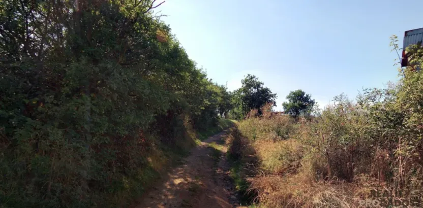 Prodej louky, Traplice, 4459 m2