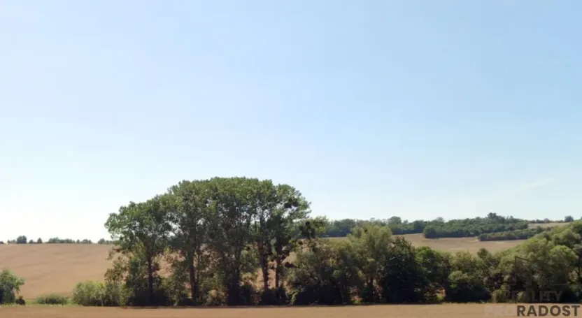 Prodej louky, Traplice, 4459 m2