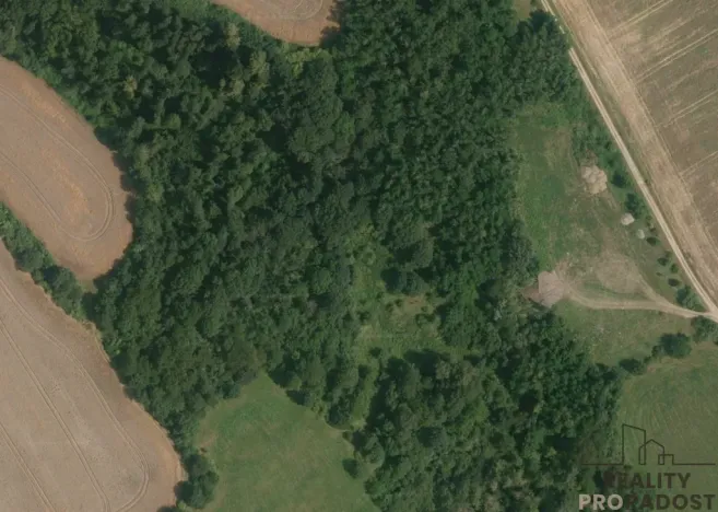 Prodej louky, Traplice, 4459 m2