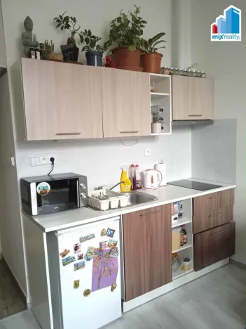 Pronájem bytu 1+kk, Janovice nad Úhlavou, Rozvojová zóna, 22 m2