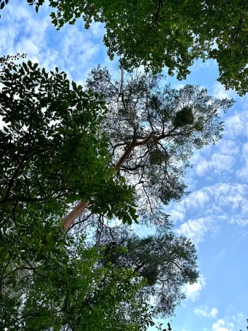 Prodej pozemku pro bydlení, Luštěnice, 9368 m2