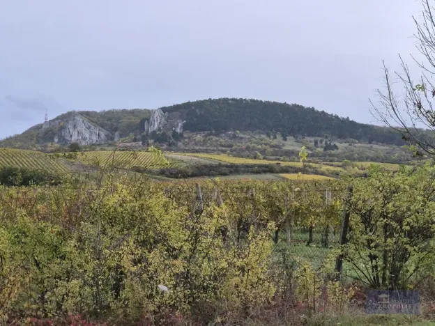 Prodej rodinného domu, Horní Věstonice, Lípová, 135 m2