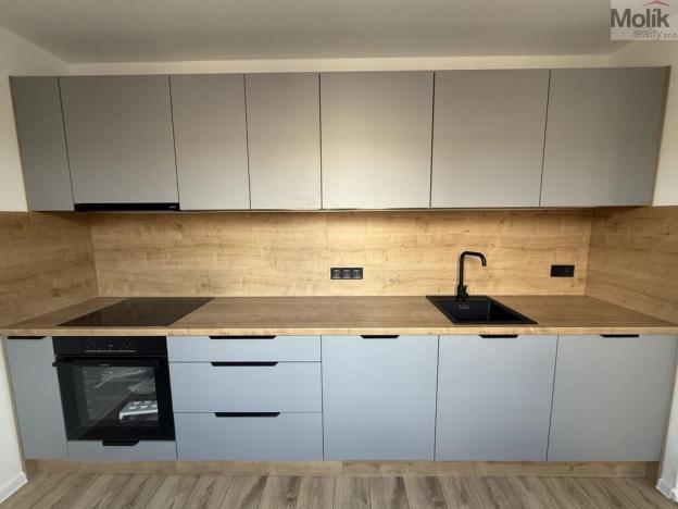 Pronájem bytu 2+1, Most, Maxe Švabinského, 54 m2