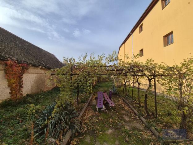 Prodej obchodního prostoru, Horní Věstonice, Lípová, 135 m2