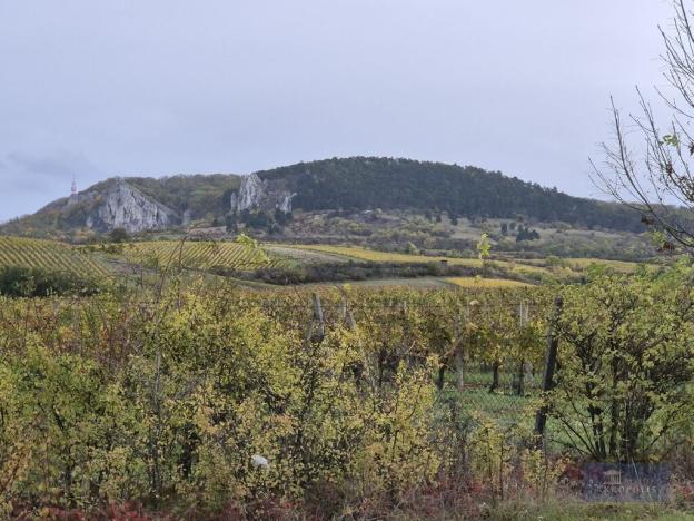 Prodej obchodního prostoru, Horní Věstonice, Lípová, 135 m2