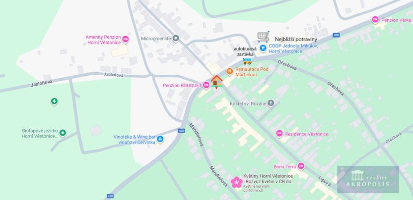 Prodej obchodního prostoru, Horní Věstonice, Lípová, 135 m2