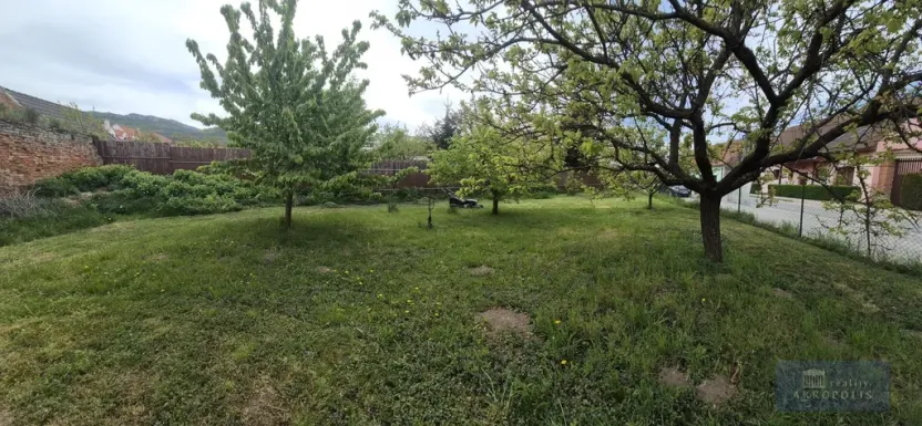 Prodej obchodního prostoru, Horní Věstonice, Lípová, 135 m2