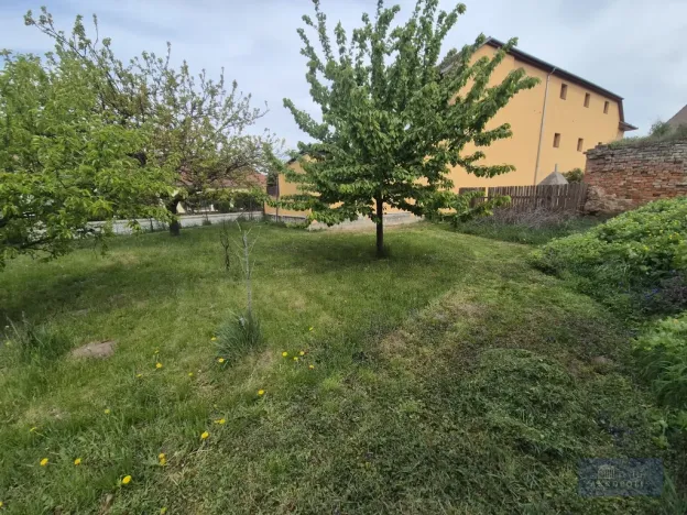 Prodej obchodního prostoru, Horní Věstonice, Lípová, 135 m2