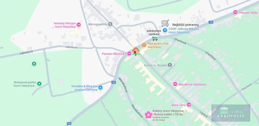 Prodej obchodního prostoru, Horní Věstonice, Lípová, 135 m2