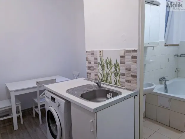 Prodej bytu 2+1, Teplice - Trnovany, Masarykova třída, 49 m2