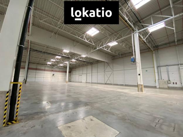 Pronájem výrobních prostor, Modřice, 3920 m2