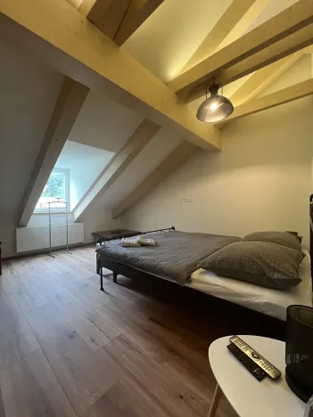 Prodej rodinného domu, Jáchymov, Mincovní, 235 m2