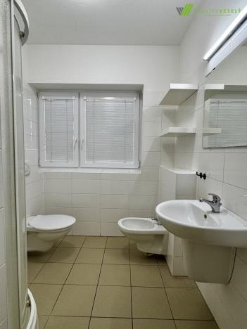 Pronájem kanceláře, Břeclav, třída 1. máje, 240 m2