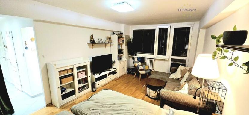 Prodej bytu 1+1, Kralupy nad Vltavou, sídl. Hůrka, 43 m2