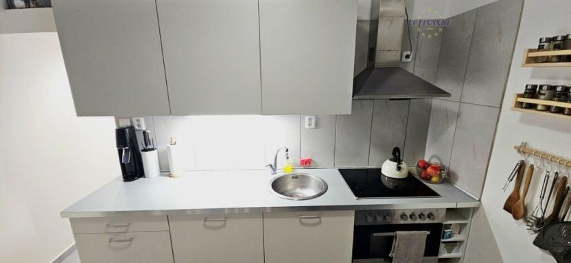 Prodej bytu 1+1, Kralupy nad Vltavou, sídl. Hůrka, 43 m2