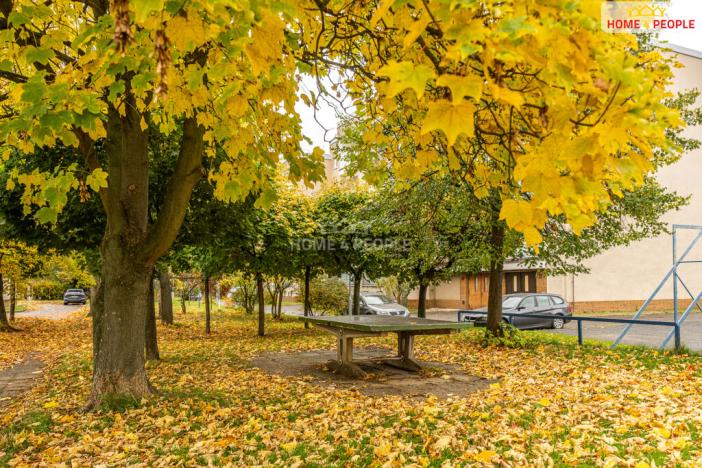 Prodej bytu 3+1, Brandýs nad Labem-Stará Boleslav - Brandýs nad Labem, Brázdimská, 86 m2