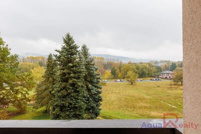 Prodej bytu 2+1, Sokolov, Jelínkova, 60 m2