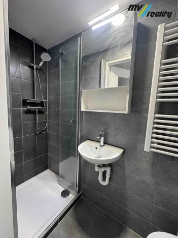 Pronájem bytu 2+kk, Praha - Břevnov, Cvičebná, 32 m2