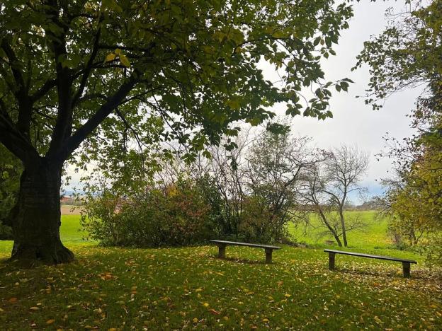 Prodej bytu 5+1, Nové Město nad Metují, Nad Stadionem, 89 m2