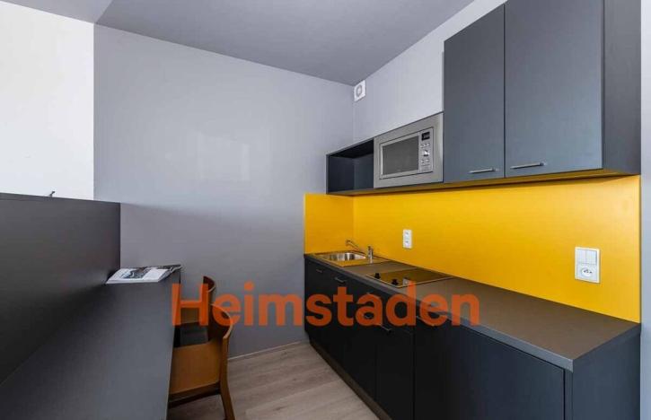 Pronájem bytu 1+kk, Plzeň - Jižní Předměstí, Magisterská, 27 m2