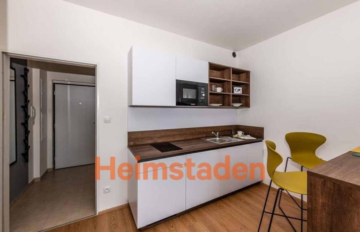 Pronájem bytu 1+kk, Plzeň - Jižní Předměstí, Magisterská, 27 m2