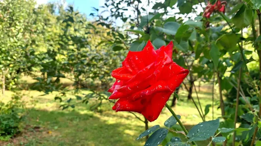 Prodej rodinného domu, Rybníky, 95 m2