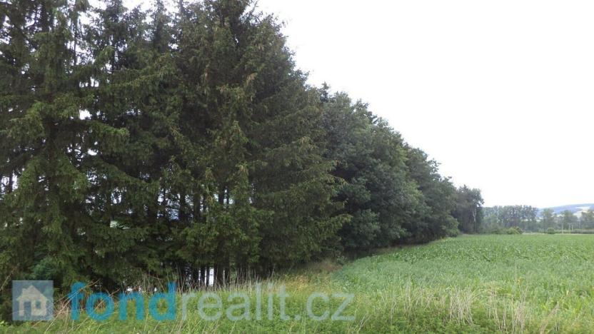 Prodej pozemku, Třebařov, 4992 m2