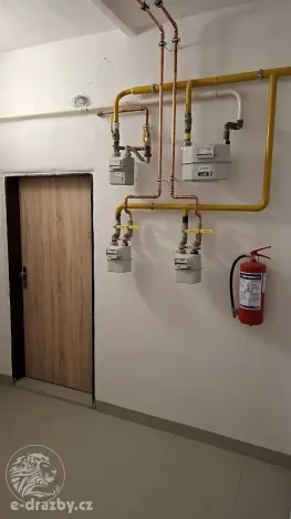 Dražba činžovního domu, Povrly, Převozní, 365 m2