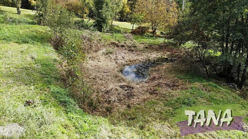 Prodej pozemku pro bydlení, Koberovy, 9985 m2