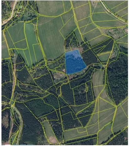 Prodej podílu lesa, Nový Hrádek, 10796 m2