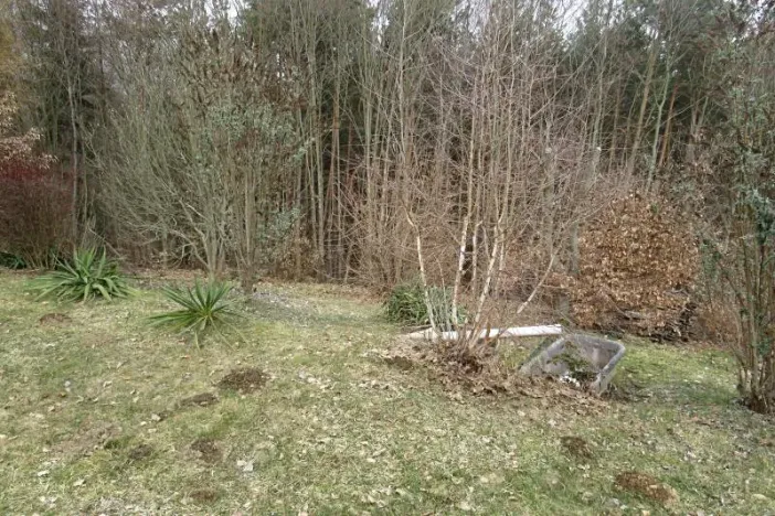 Prodej lesa, Slapy, 4059 m2