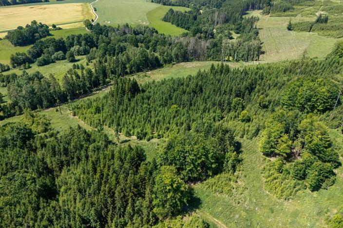 Prodej pozemku pro bydlení, Choustník, 114846 m2