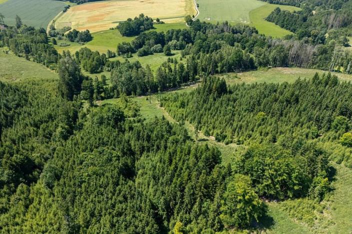 Prodej pozemku pro bydlení, Choustník, 114846 m2