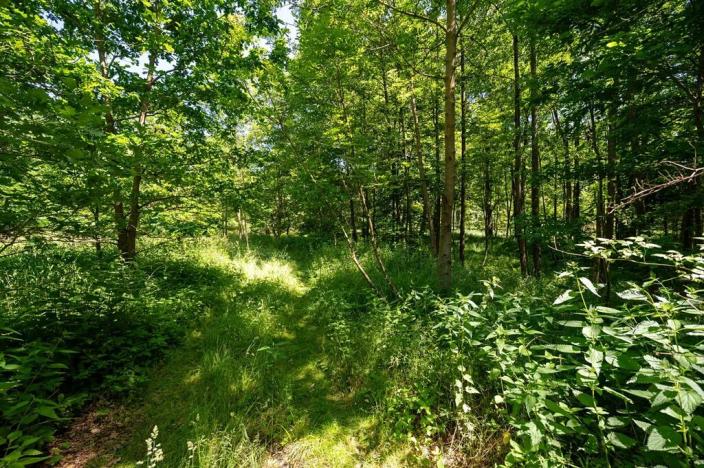 Prodej pozemku pro bydlení, Choustník, 114846 m2