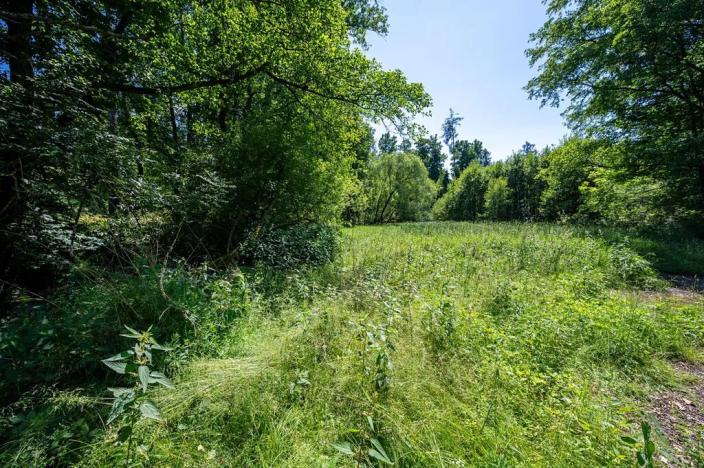 Prodej pozemku pro bydlení, Choustník, 114846 m2