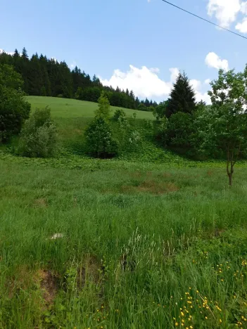 Dražba louky, Velké Karlovice, 14772 m2