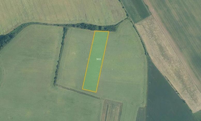 Prodej pole, Vítonice, 3008 m2