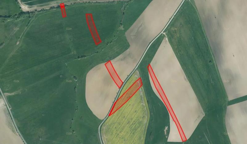 Prodej pole, Dnešice, 22848 m2