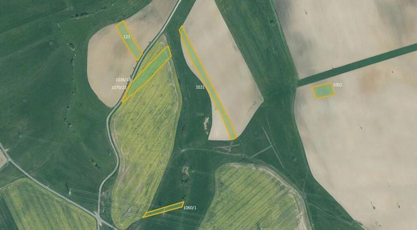 Prodej pole, Dnešice, 36083 m2